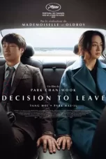 Decision to Leave (2022)