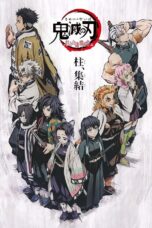 DEMON SLAYER KIMETSU NO YAIBA HASHIRA MEETING BUTTERFLY MANSION (2020)