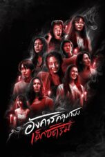 Terror Tuesday Extreme (2024) อังคารคลุมโปงเอ็กซ์ตรีม